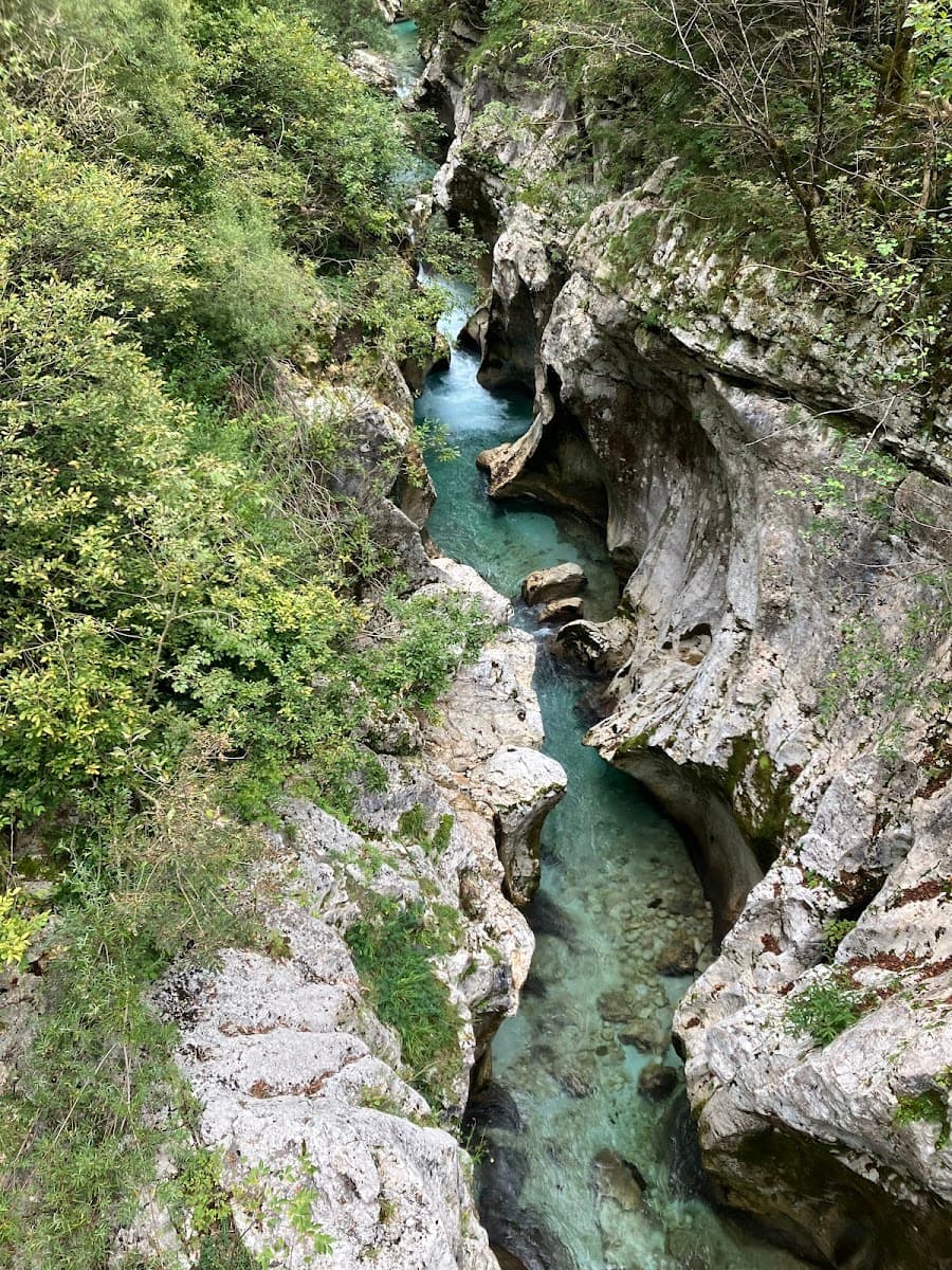Turquoise river flowing through a narrow, rocky gorge with lush green vegetation.