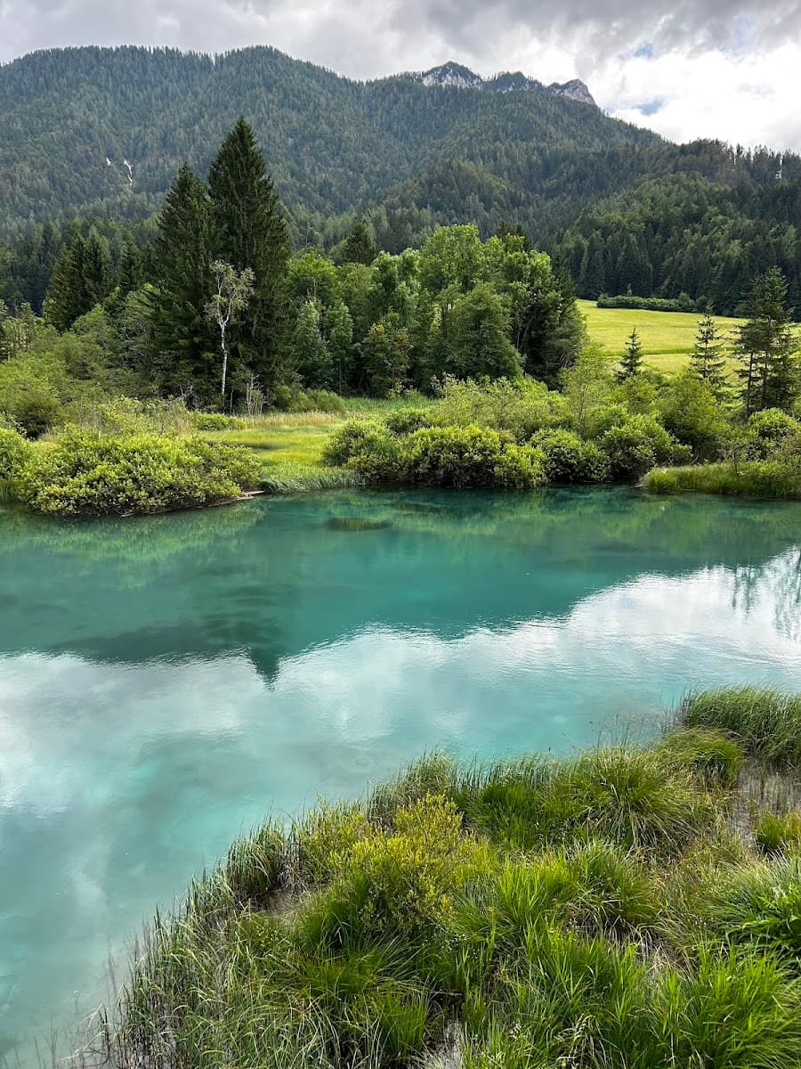 Turquoise spring water reflecting cloudy sky, surrounded by lush green grass and forested mountains.