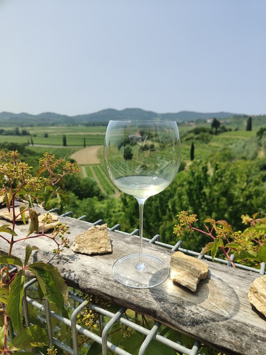 Glass of white wine overlooking rolling vineyards and distant hills on a sunny day.