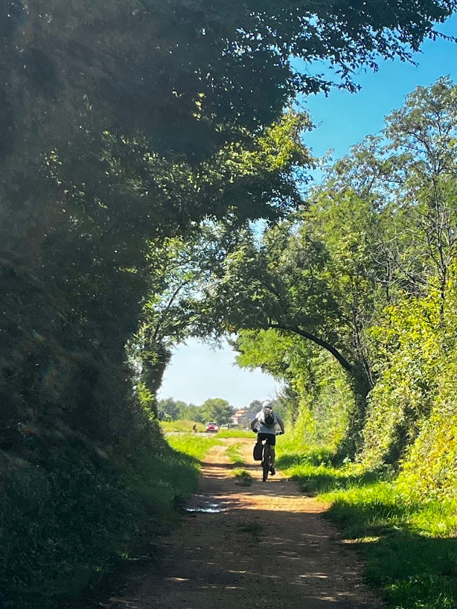 Cyclist riding on dirt path under green leafy archway toward open field