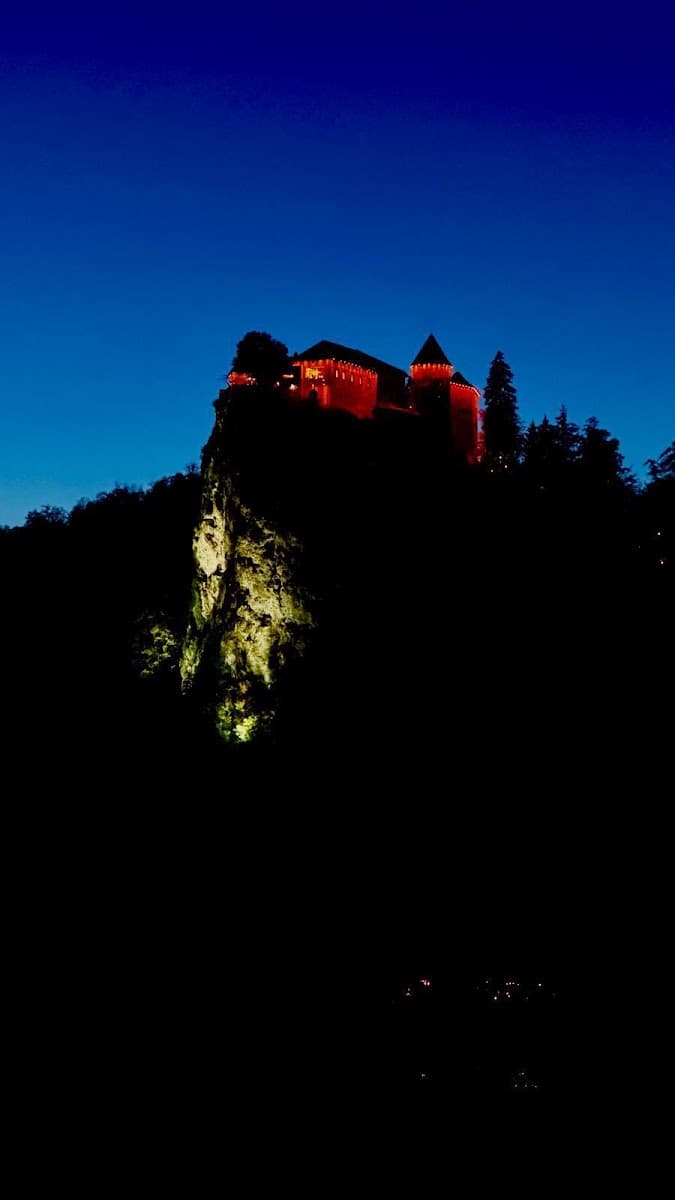 Illuminated castle perched on a rocky cliff at night against a deep blue sky