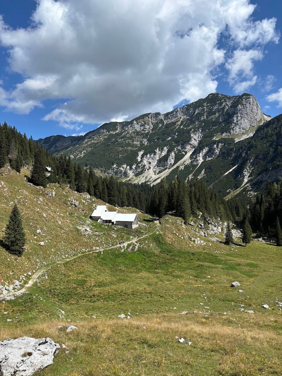 Alpine mountain valley with stone hut, pine forest, and rocky peaks under a cloudy sky