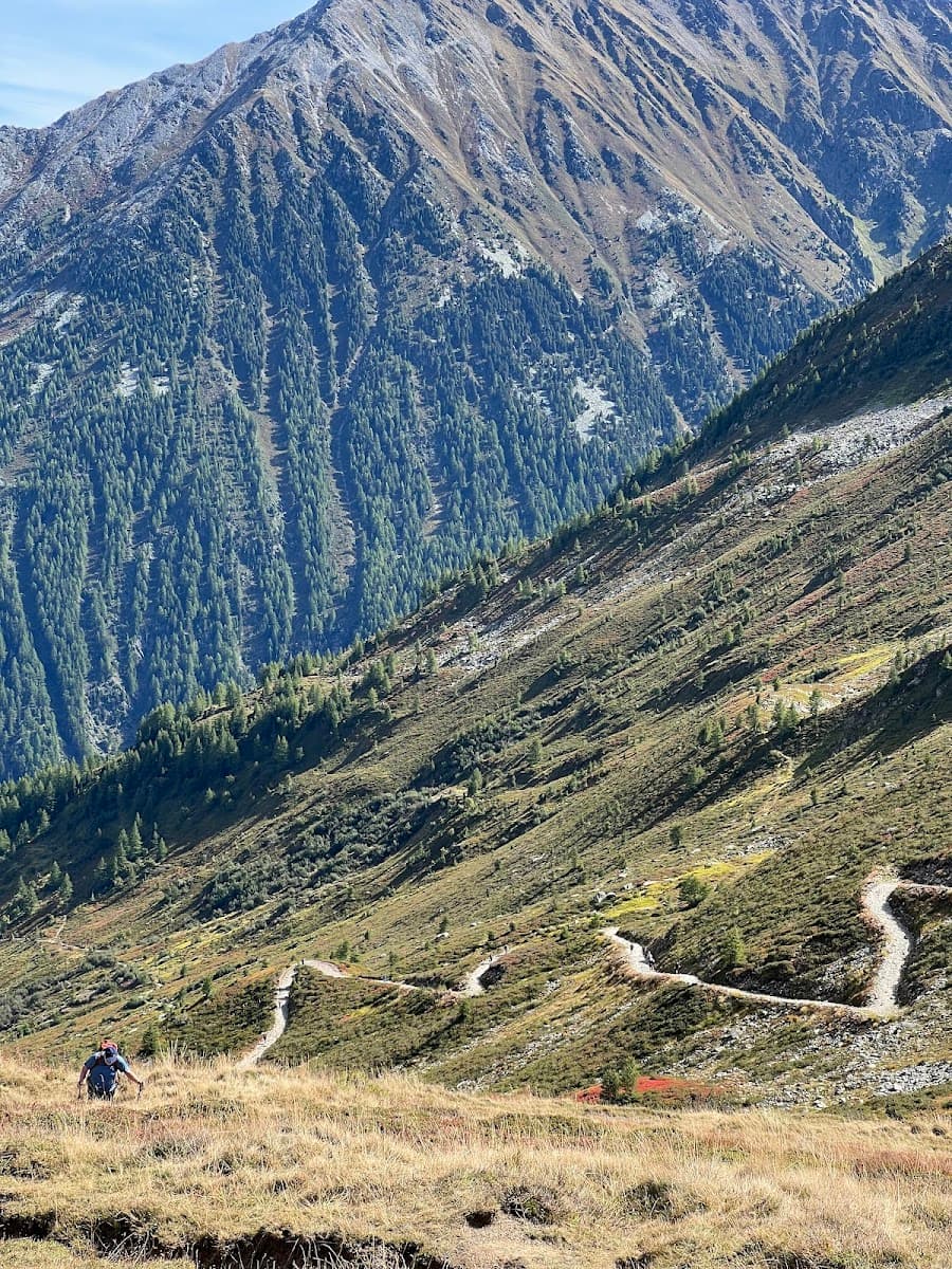 Hiker ascending grassy alpine slope with switchback trail below dense forested mountains